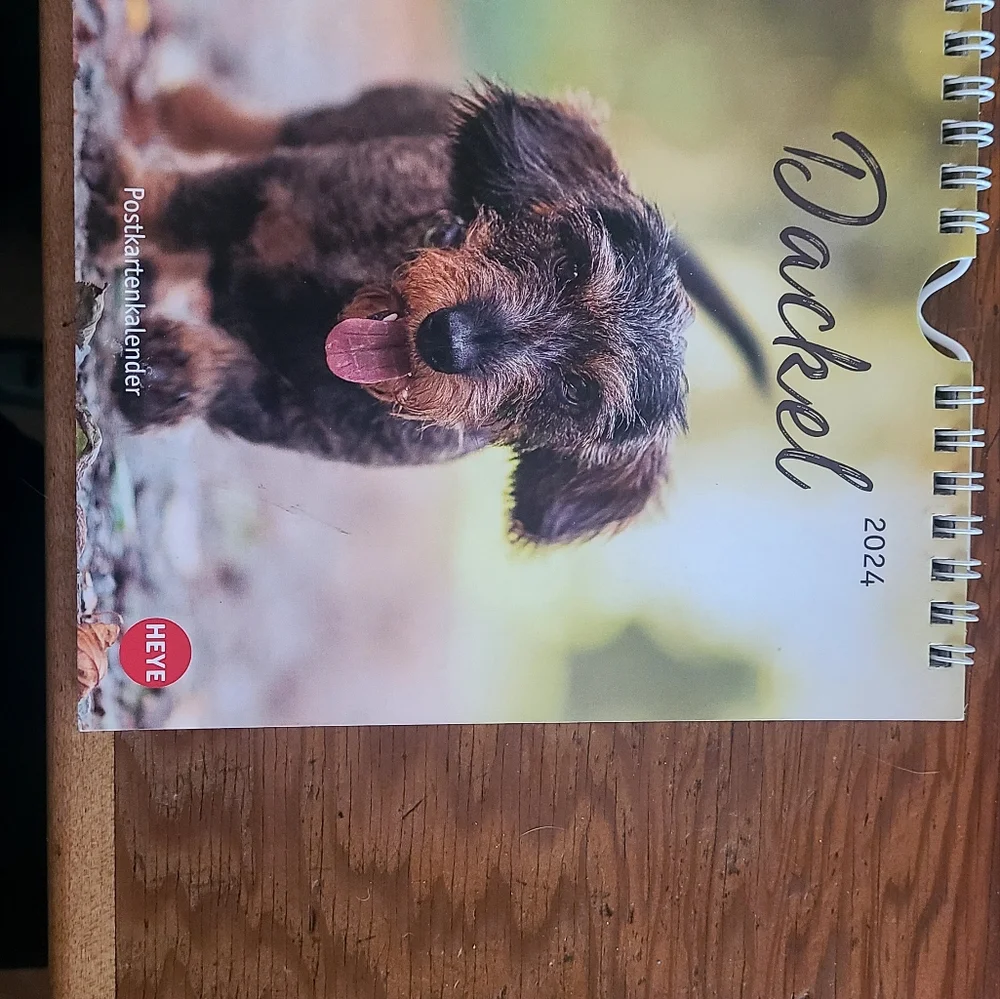 2024 German calendar with Dackels